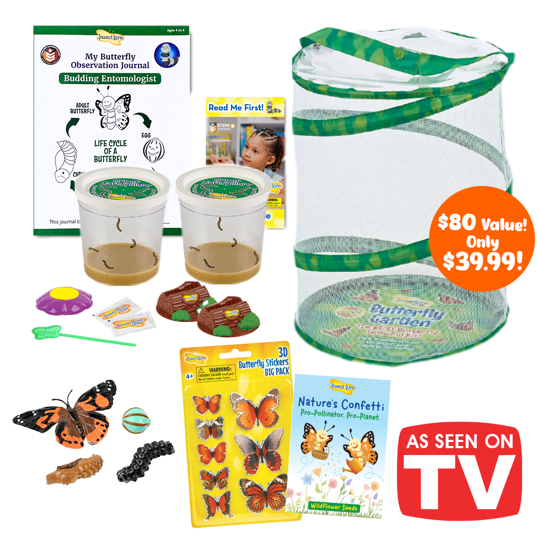 Butterfly Garden® As Seen On TV