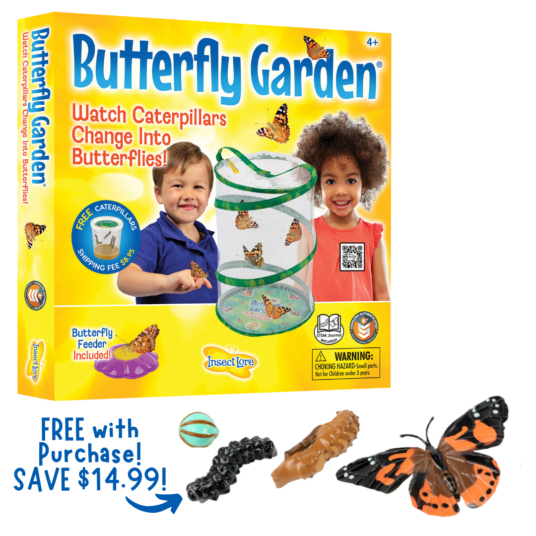 Butterfly Garden® With Voucher and FREE Butterfly Life Cycle Stages