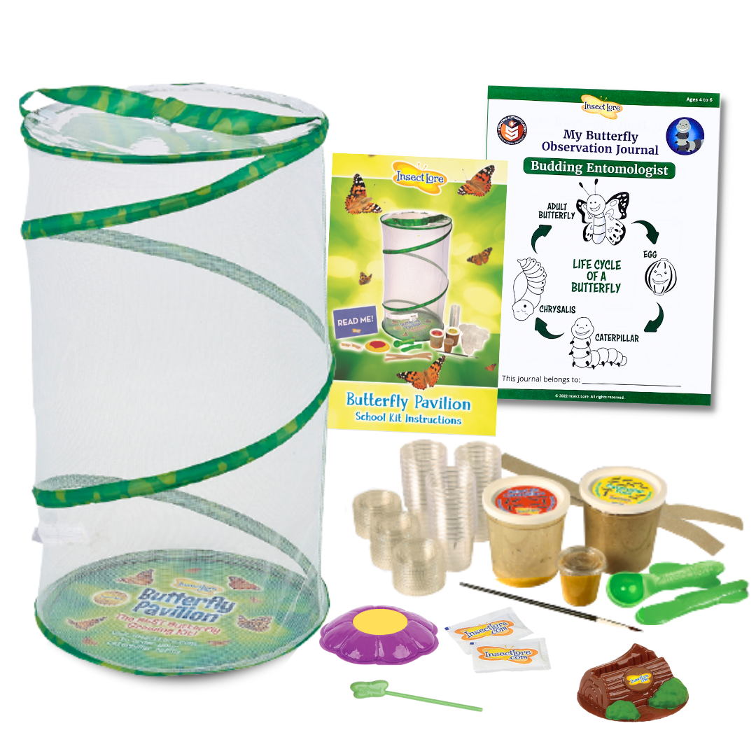 Butterfly Pavilion® School Kit With 33 Live Caterpillars