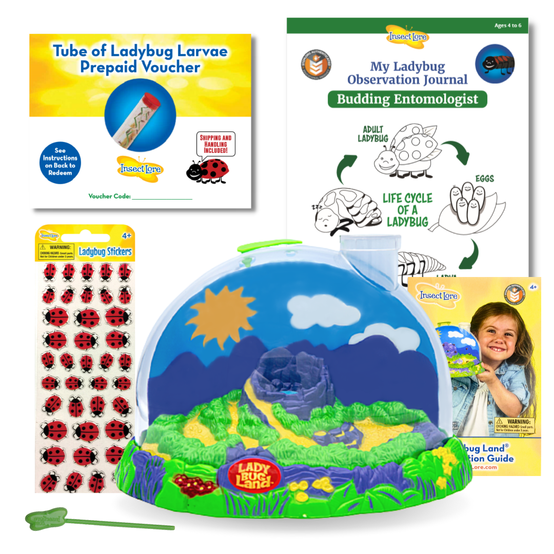 Ladybug Land® With PREPAID Voucher