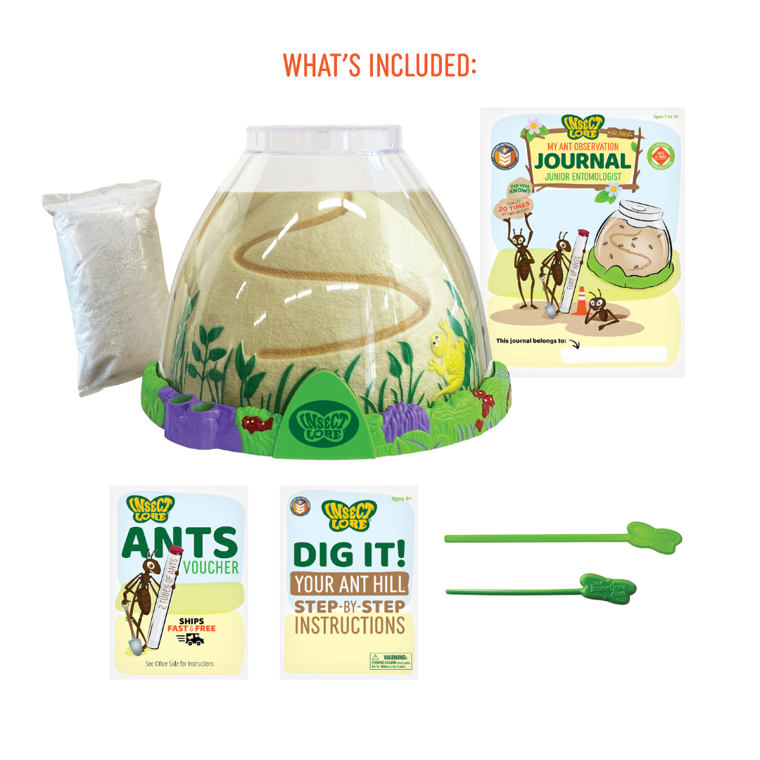 Ant Hill™ with Prepaid Voucher for Live Ants