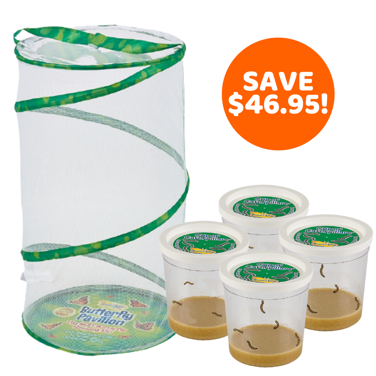 Funtastic 4 Cup Caterpillar Refill with FREE Butterfly Pavilion® Habitat