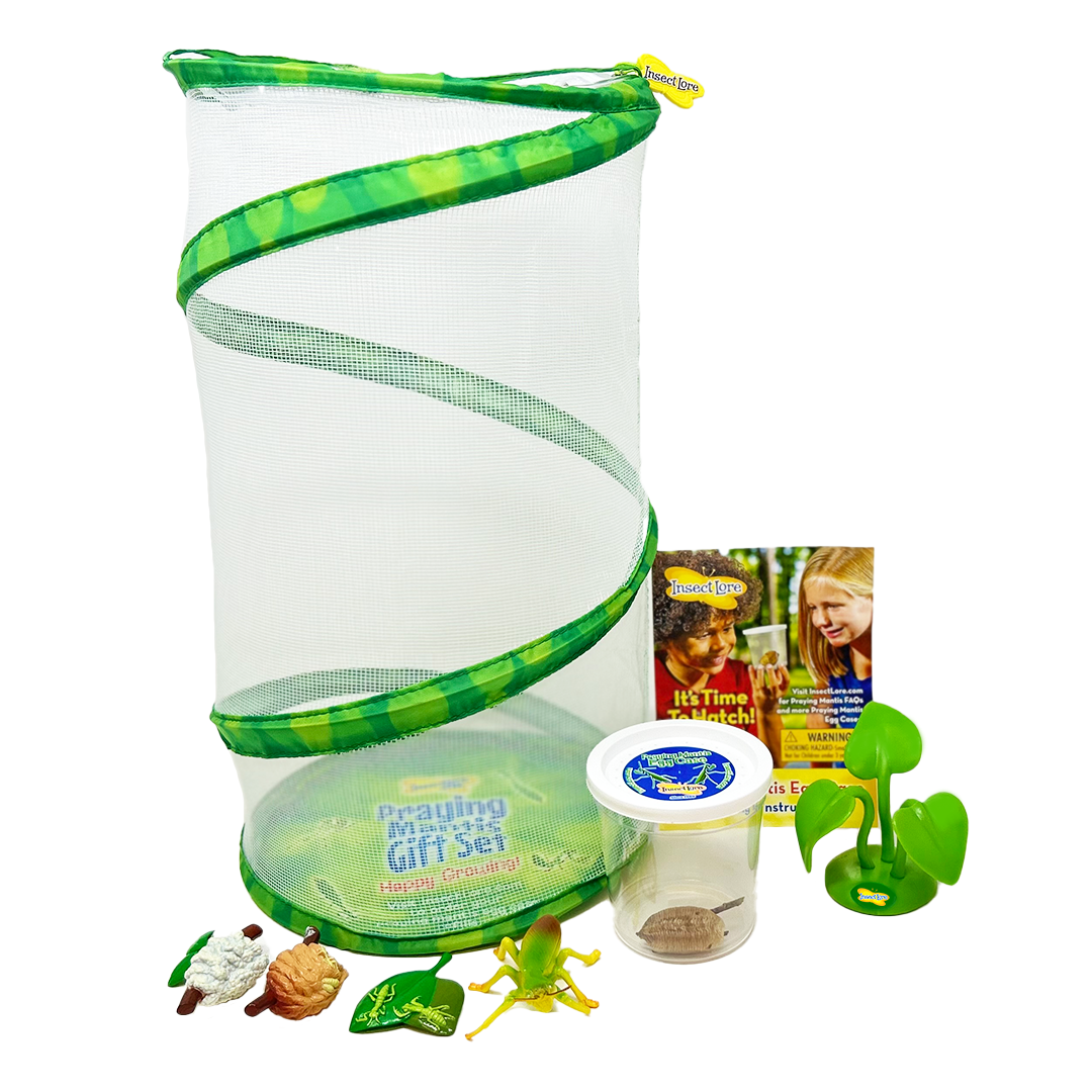 Praying Mantis Gift Set