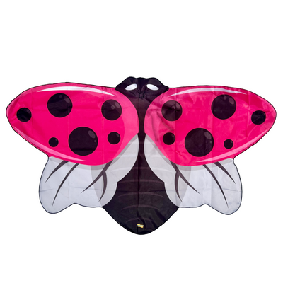 Pink Dress Up Ladybug Wings