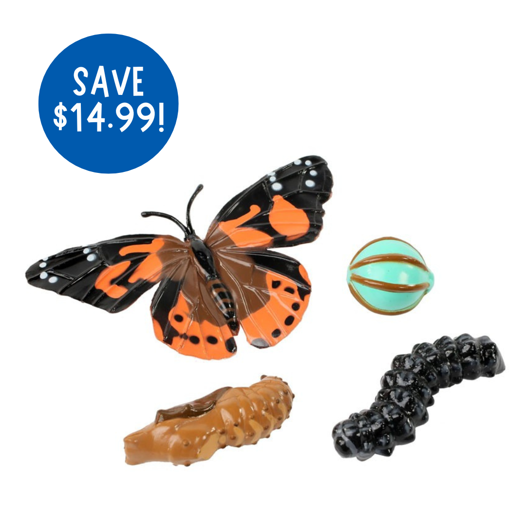 Butterfly Garden® With Voucher and FREE Butterfly Life Cycle Stages