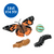 Butterfly Garden® With Voucher and FREE Butterfly Life Cycle Stages