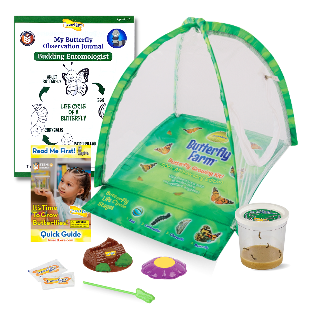 Calico Toy Shoppe - Butterfly Net from Insect Lore