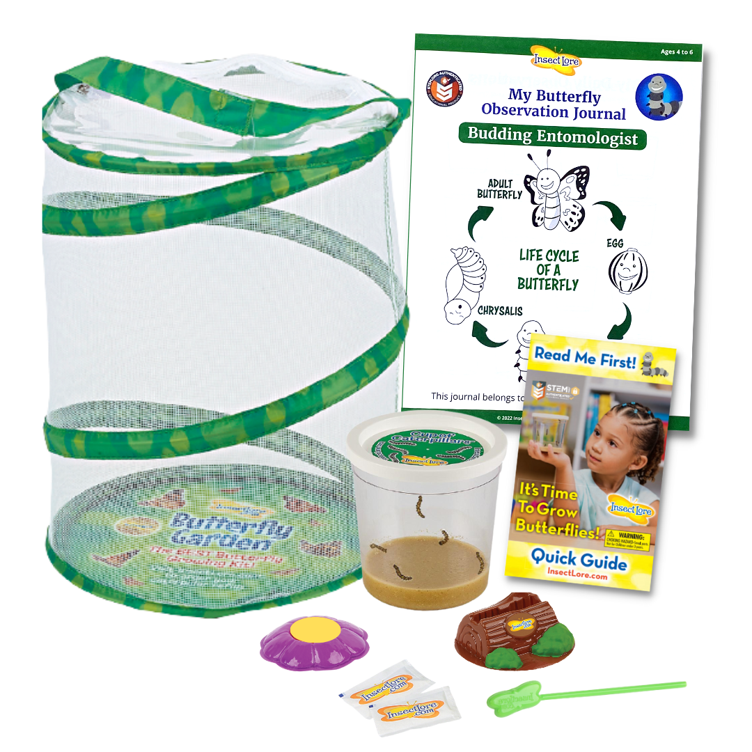 12&quot; Butterfly Garden Habitat, Budding Entomologist STEM Journal, 5 baby caterpillars in a clear cup, brown log shaped cup lid holder, purple flower shaped butterfly feeder, two sugar packets, green water dropper