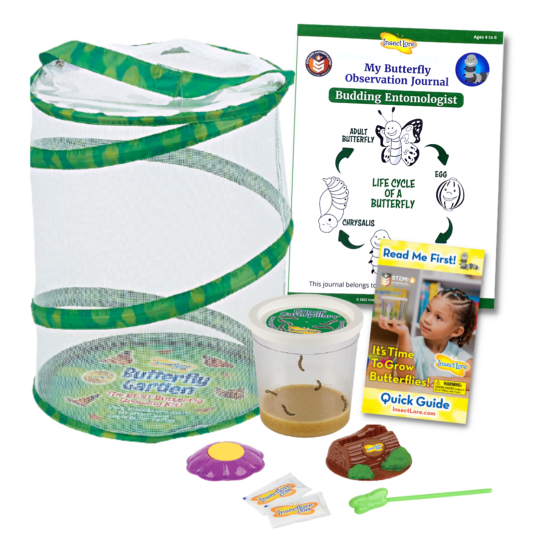 Nature Gift Store 10 Live Caterpillars Shipped Now: Butterfly Kit Refill  Plus 3D Figurines Bundle