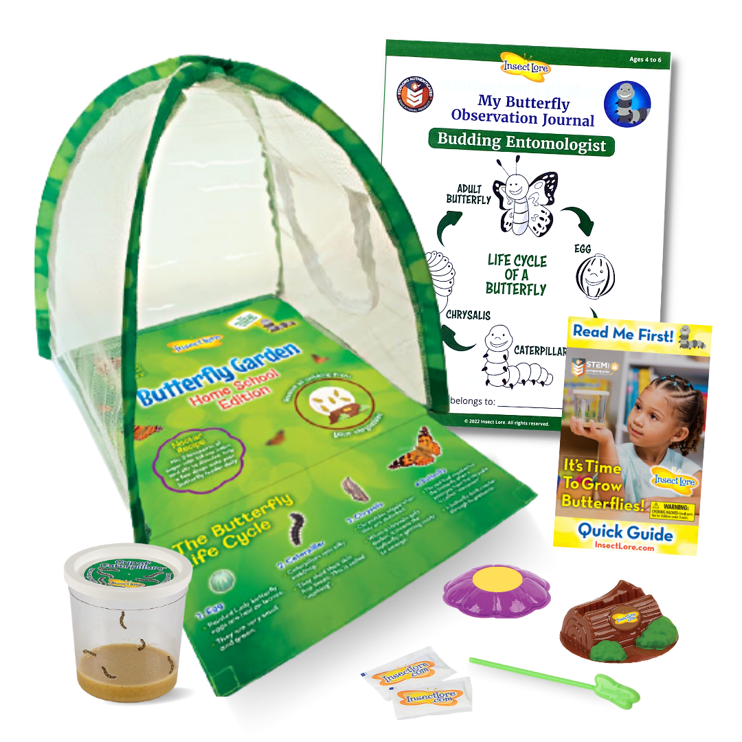 Butterfly Garden® Home School Edition with Live Caterpillars