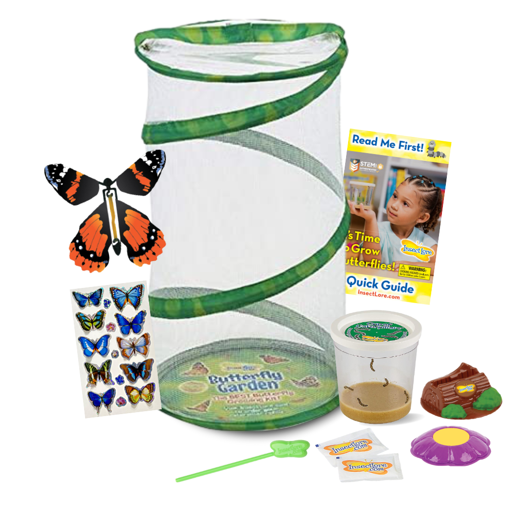 12&quot; tall green mesh habitat, butterfly wind-up toy, sheet of 10 blue butterfly stickers, instructional guide, Cup of 5 baby caterpillars, nectar dropper, two sugar packets, purple flower shaped butterfly feeder, chrysalis holidng log 