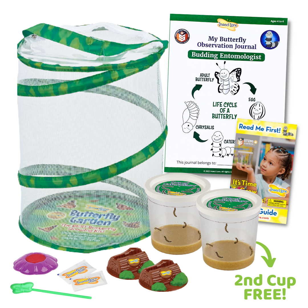 Butterfly Garden with Live Caterpillars and 2nd Cup FREE!