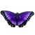 Dress Up Purple Morpho Butterfly Wings