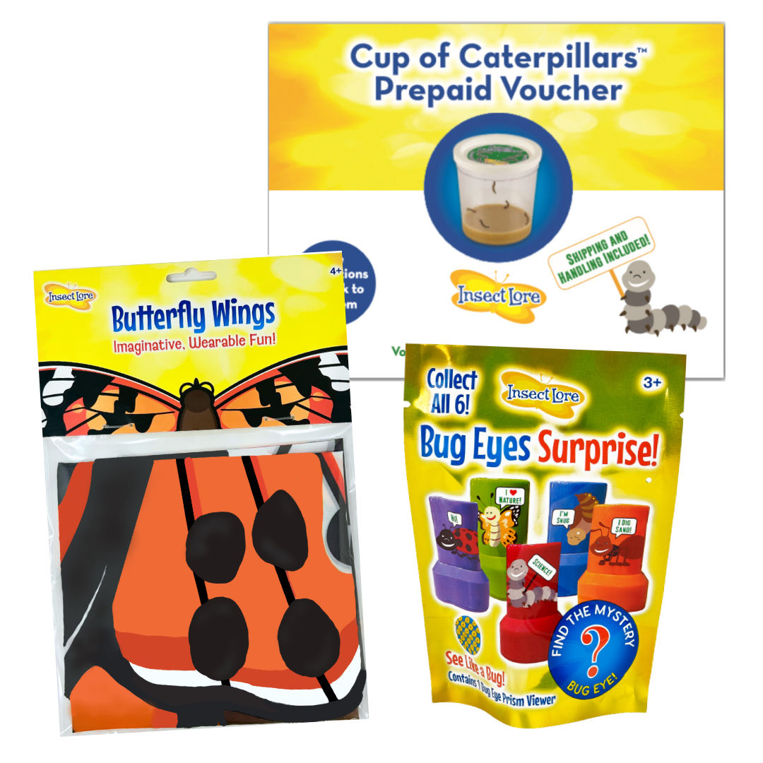 Caterpillar Christmas Gift Set