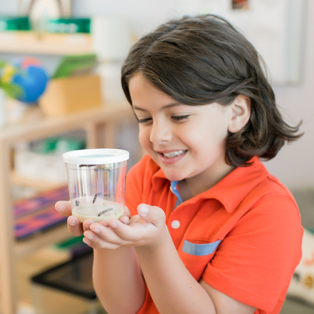 Boy in orange shirt looking into clear Cup of 5 Baby Caterpillars