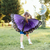 Dress Up Purple Morpho Butterfly Wings