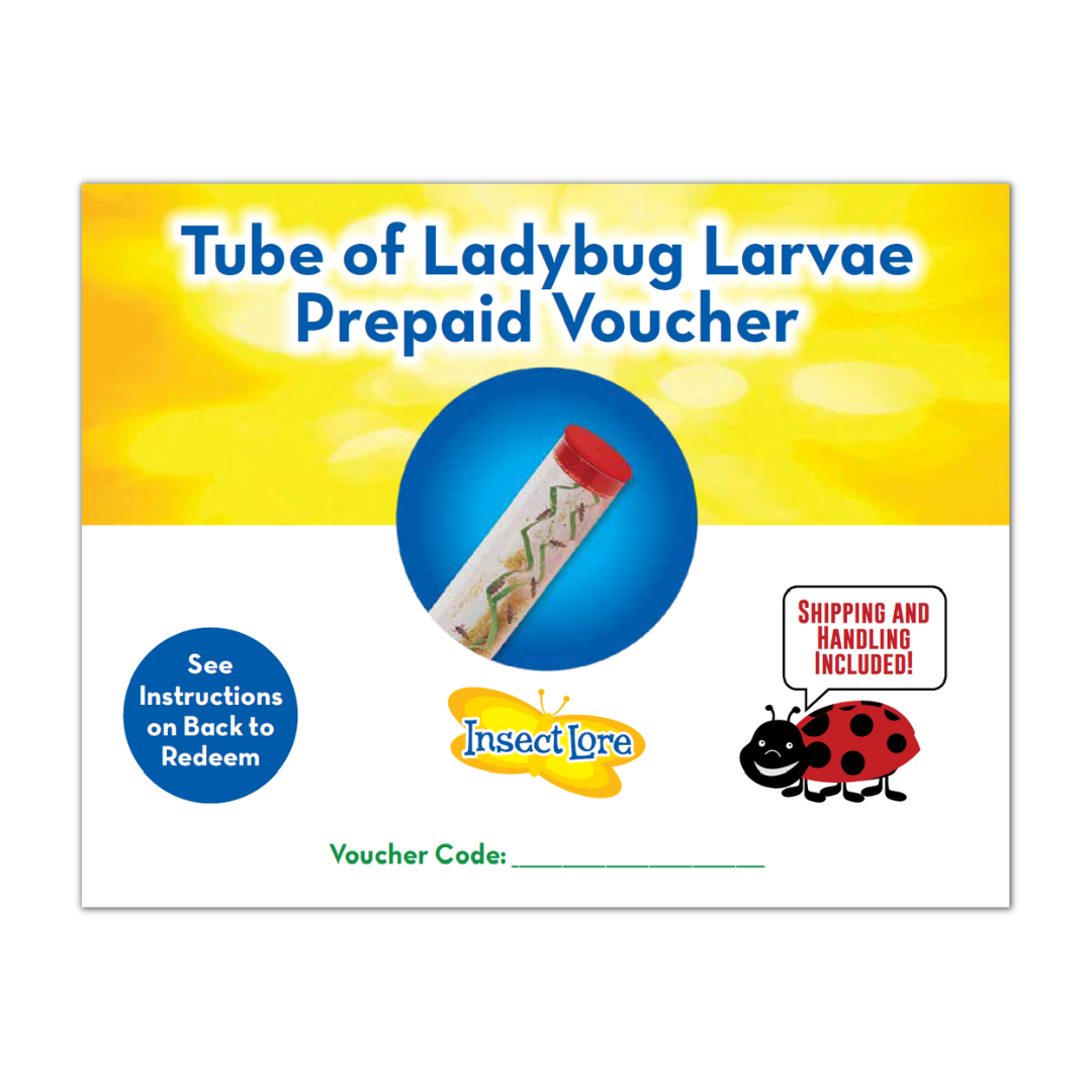 Yellow and white certificate for a tube of ladybug larvae