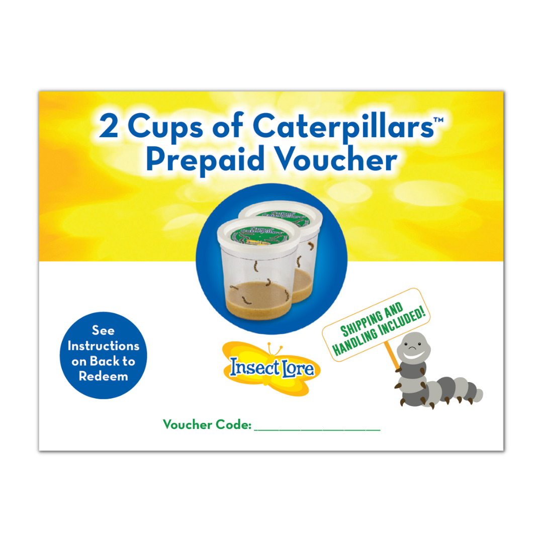 Yellow and white voucher for two Cups of Caterpillars