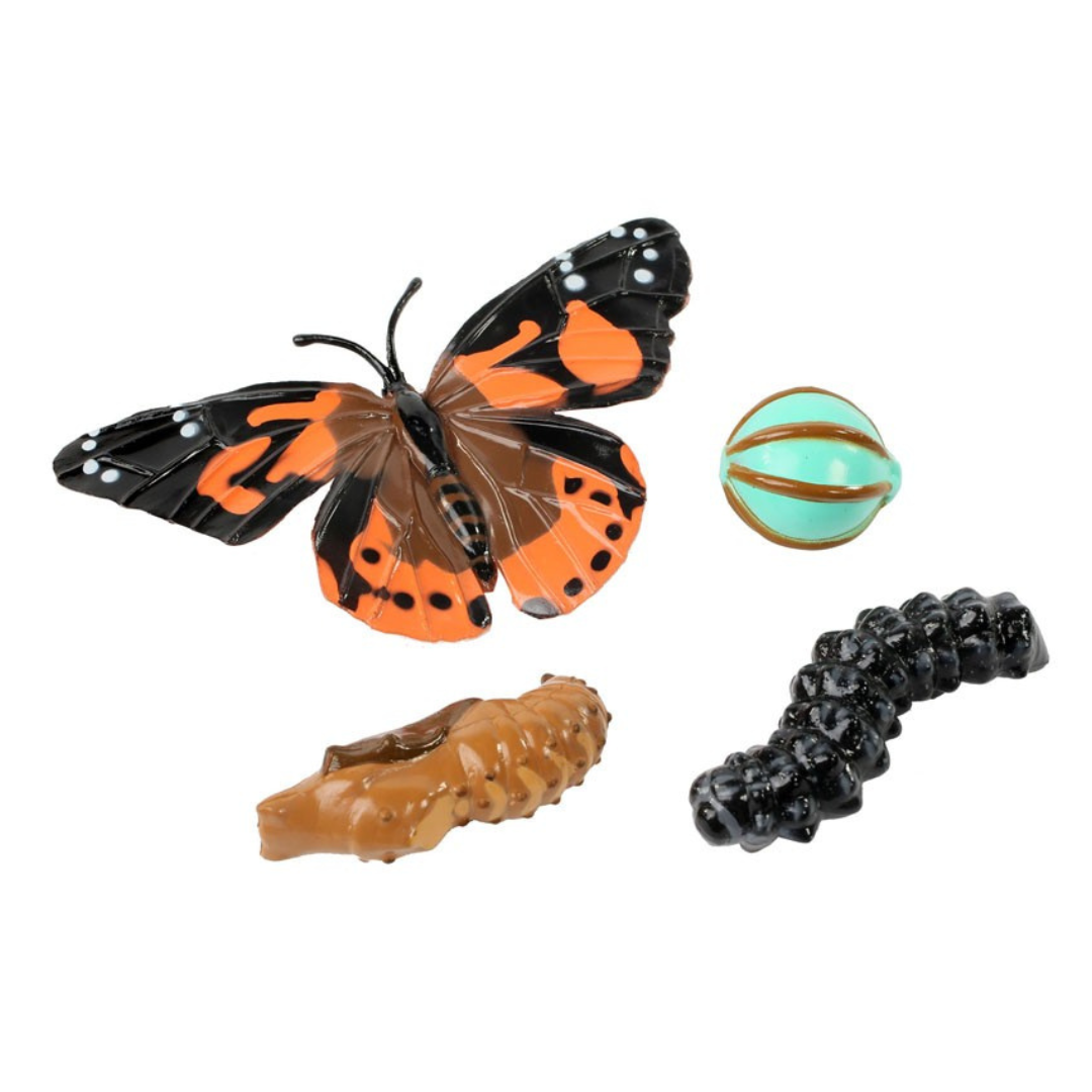 Realistic, plastic figurines of the life cycle of a Painted Lady butterfly on a white background