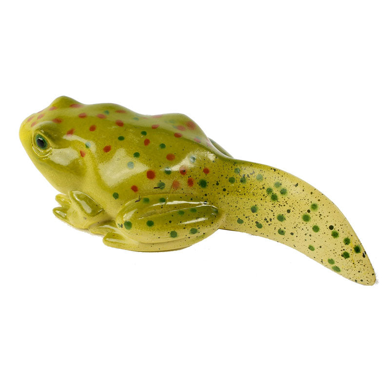 Life Cycle of a Frog Figurine Set – The Tiny Trove