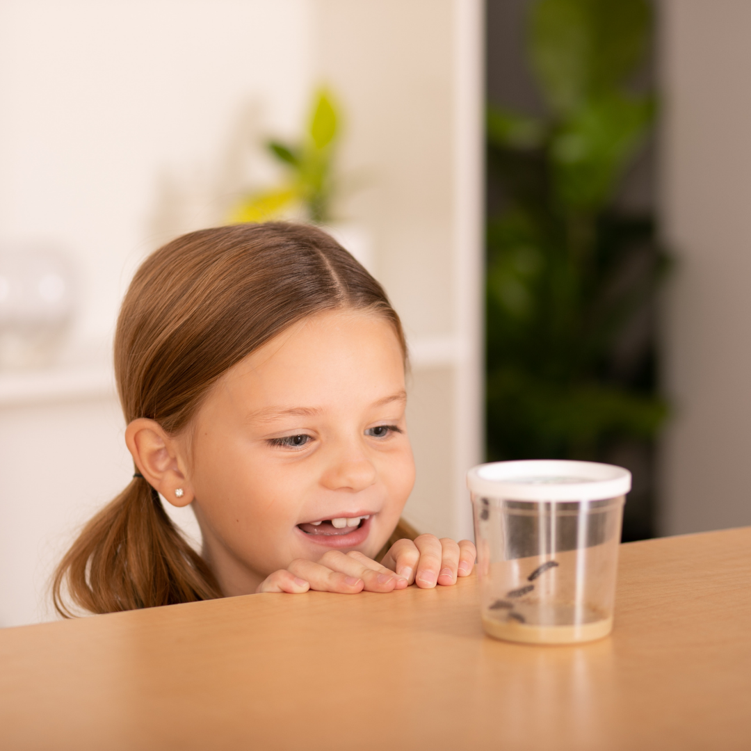 Small girl excitedly looking into clear cup with 5 baby caterpillars