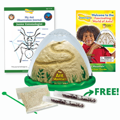 Buy an Ant Mountain with Tube of Live Ants, Get a 2nd Tube FREE!