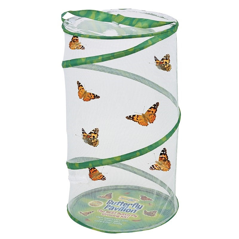 With Insect Lore Voucher Pavilion® - Project When | Ready Plan Butterfly Your