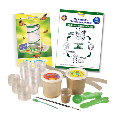 NO-NAME Disposable Paint Cup Kits (50 ct)