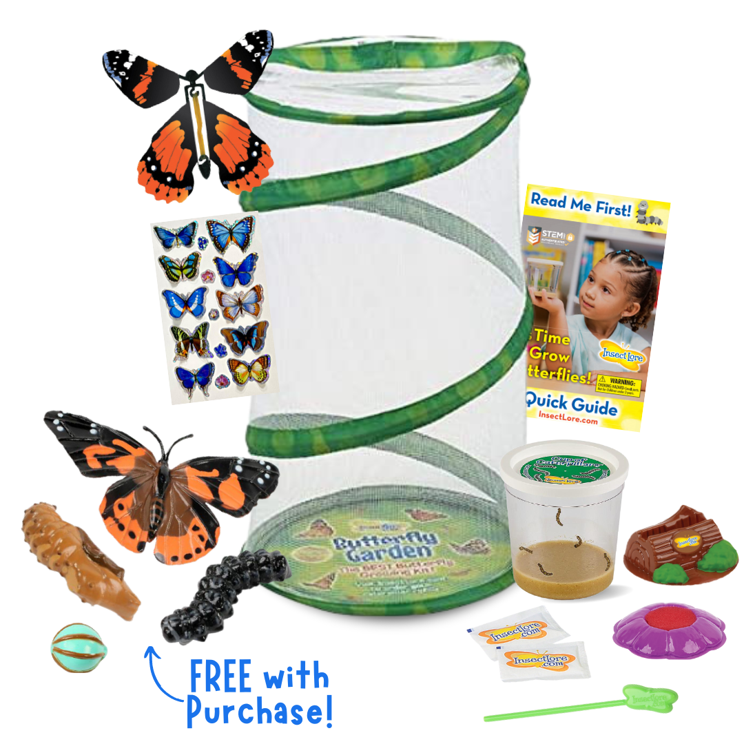 Spring Beginnings Bundle with Live Cup of Caterpillars™