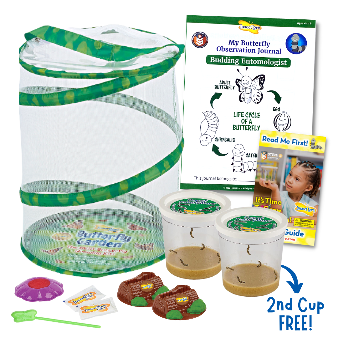 12&quot; Butterfly Garden Habitat, Budding Entomologist STEM Journal, 2 cups 5 baby caterpillars, brown log shaped cup lid holder, purple flower shaped butterfly feeder, two sugar packets, green water dropper