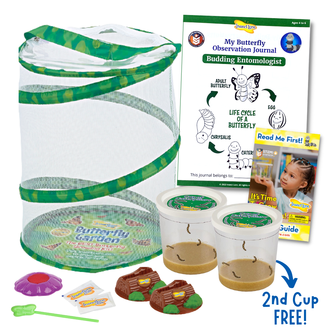 Mini Butterfly Garden® Gift Set with Live Caterpillars - Insect Lore