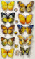 10 3D multicolored butterfly stickers