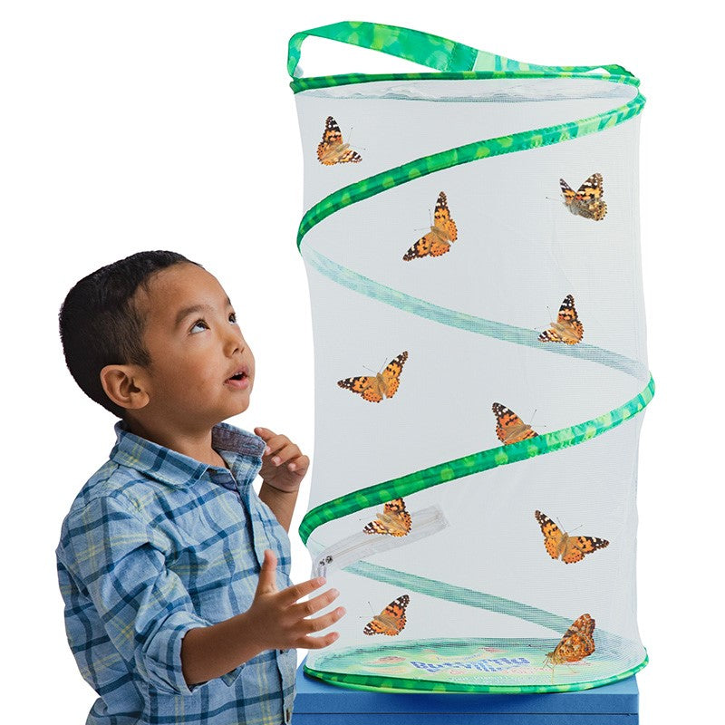 Your When | Lore Project Plan Butterfly Voucher Ready Insect Pavilion® - With