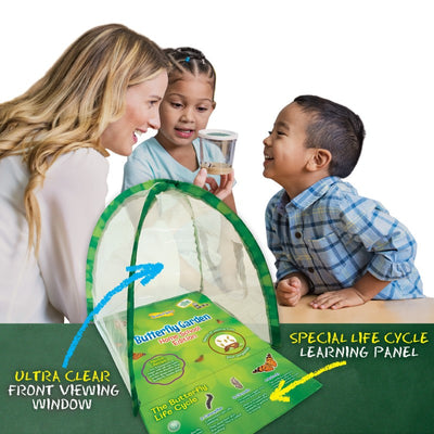 Two children and their teacher observe the cup with five baby caterpillars in it. In the foreground, the green dome habitat printed with the butterfly life cycle at the bottom is depicted.